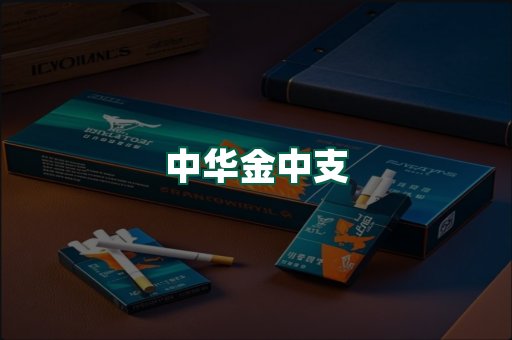 中华金中支